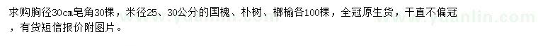 求購皂角、國槐、樸樹等