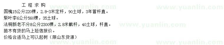 求購國槐、紫葉李、法桐