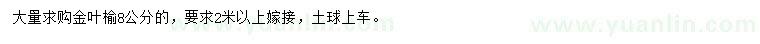 求購(gòu)8公分金葉榆
