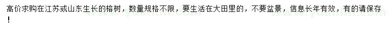 求購(gòu)榕樹(shù)