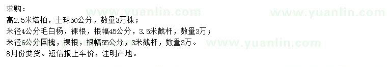 求購(gòu)塔柏、毛白楊、國(guó)槐