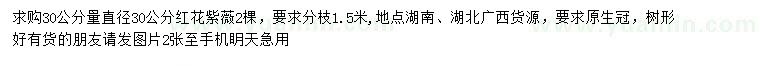 求購(gòu)30公分處量30公分紅花紫薇
