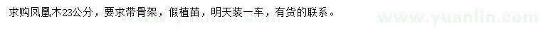 求購23公分鳳凰木