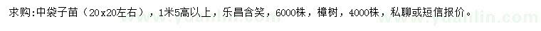 求購樂昌含笑、樟樹