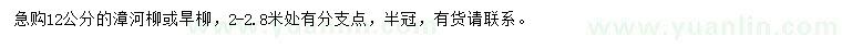 求購12公分的漳河柳或旱柳