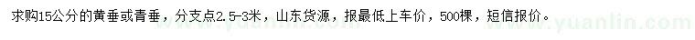 求購15公分黃垂或青垂