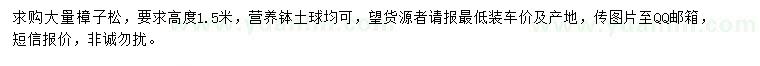 求購高1.5米樟子松