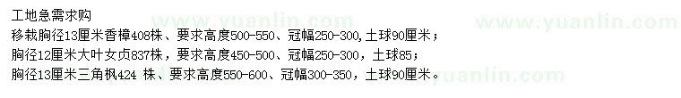 求購(gòu)香樟、大葉女貞、三角楓