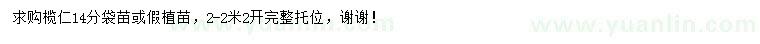 求購14公分欖仁