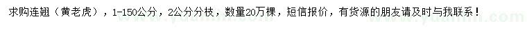 求購連翹