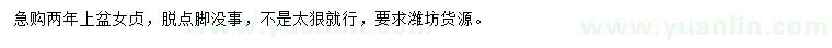 求購兩年上盆女貞