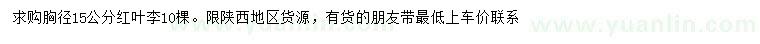 求購胸徑15公分紅葉李