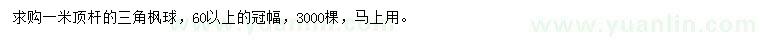 求購冠60公分以上三角楓球