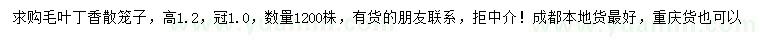求購(gòu)高1.2米毛葉丁香散籠子