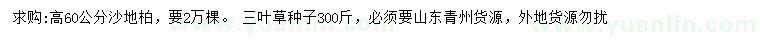 求購(gòu)高60公分沙地柏、三葉草種子