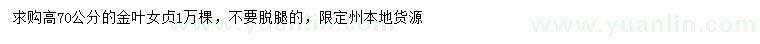 求購高70公分金葉女貞