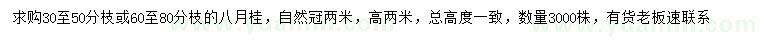 求購高2米八月桂
