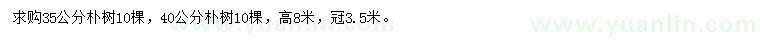 求購35、40公分樸樹