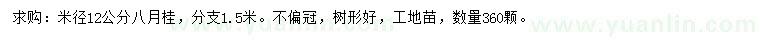 求購(gòu)米徑12公分八月桂