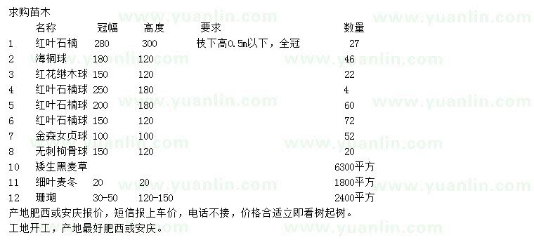 求購紅葉石楠、海桐球、紅花繼木球等