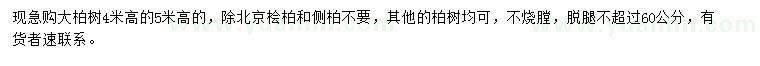 求購(gòu)4、5米大柏樹(shù)