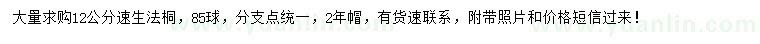 求購12公分速生法桐