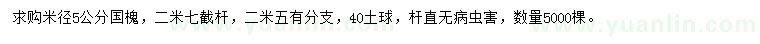 求購米徑5公分國槐