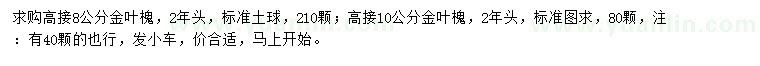 求購(gòu)8、10公分金葉槐