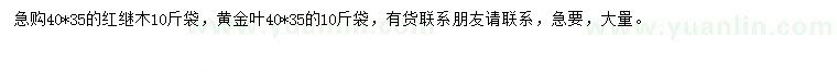 求購紅繼木、黃金葉