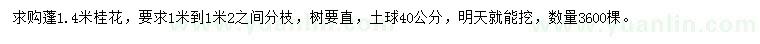 求購蓬1.4米桂花