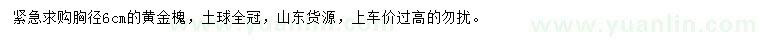 求購(gòu)6公分黃金槐