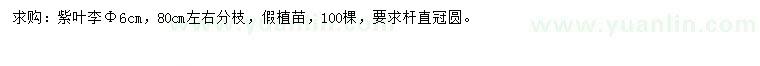 求購胸徑6公分紫葉李