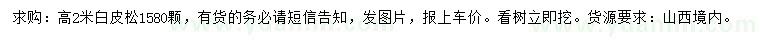 求購高2米白皮松