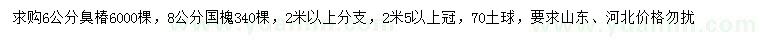 求購6公分臭椿、8公分國槐