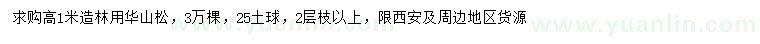 求購(gòu)高1米華山松