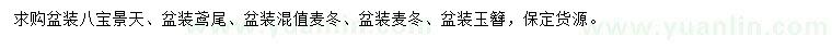 求購盆裝八寶景天、鳶尾、麥冬等