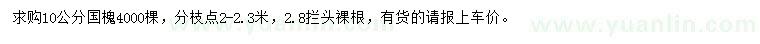 求購10公分國槐