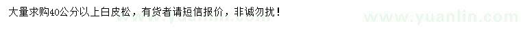 求購40公分以上白皮松