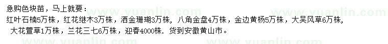 求購(gòu)紅葉石楠、紅花繼木、灑金珊瑚等