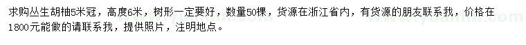 求購(gòu)冠5米叢生胡柚