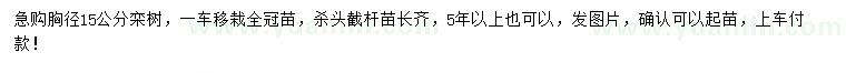求購胸徑15公分欒樹