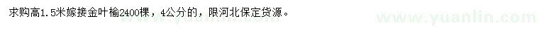 求購4公分嫁接金葉榆