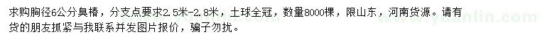 求購胸徑6公分臭椿