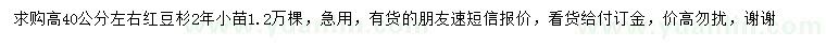 求購(gòu)紅豆杉小苗