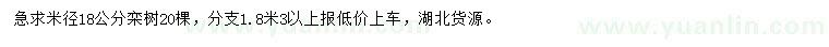求購米徑18公分欒樹