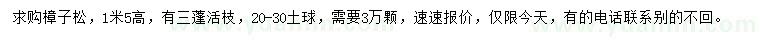 求購高1.5米樟子松