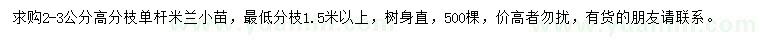 求購2-3公分米蘭小苗