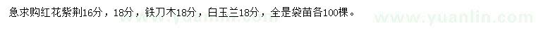 求購紅花紫荊、鐵刀木、白玉蘭