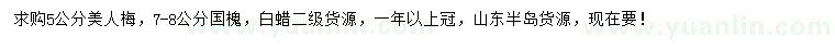 求購(gòu)美人梅、白蠟、國(guó)槐