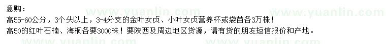 求購金葉女貞、小葉女貞、紅葉石楠等